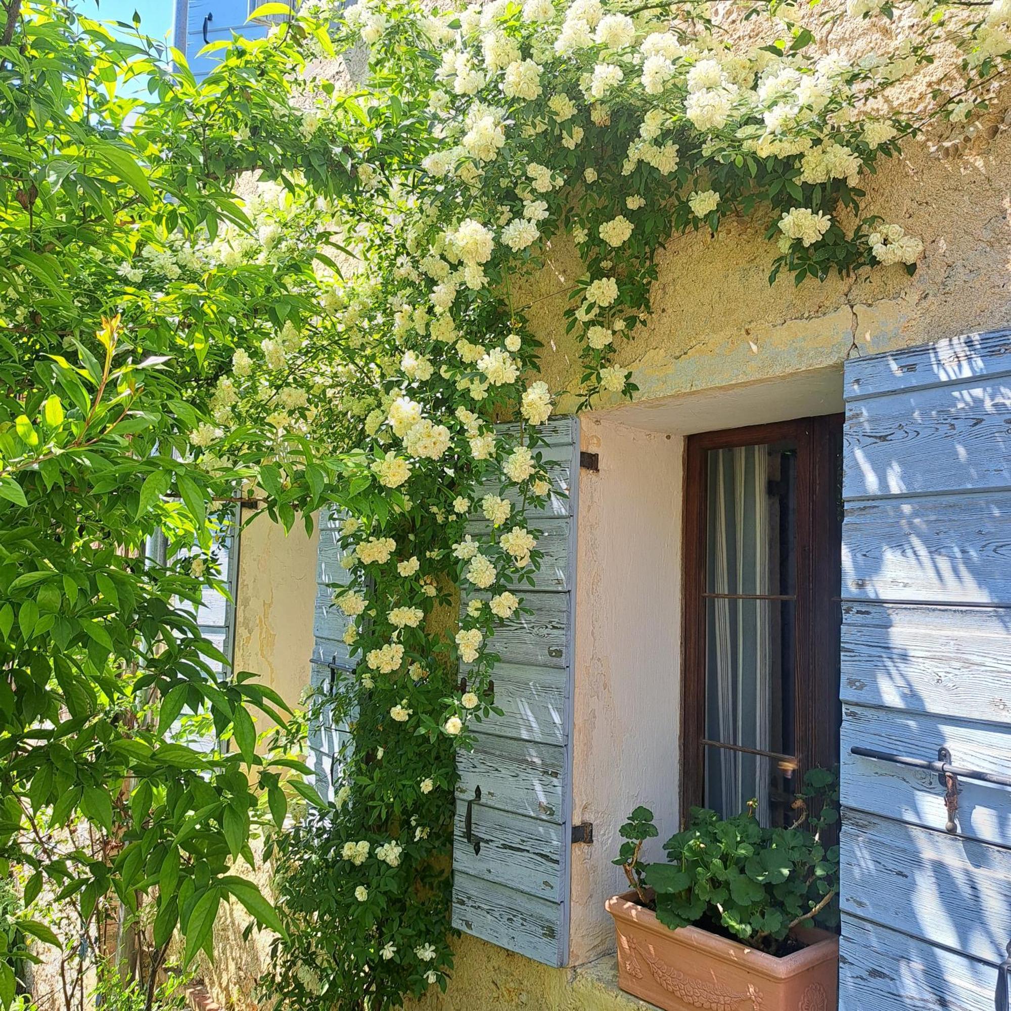Casadesergio Refrontolo Exterior foto